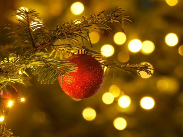 An audience with Father Christmas - Trelissick