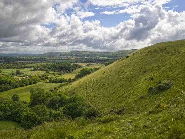 Lawrence and the Living Landscape - The flora and fauna of Clouds Hill