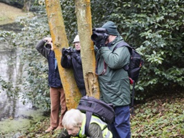 Photography Workshop amongst the bluebells
