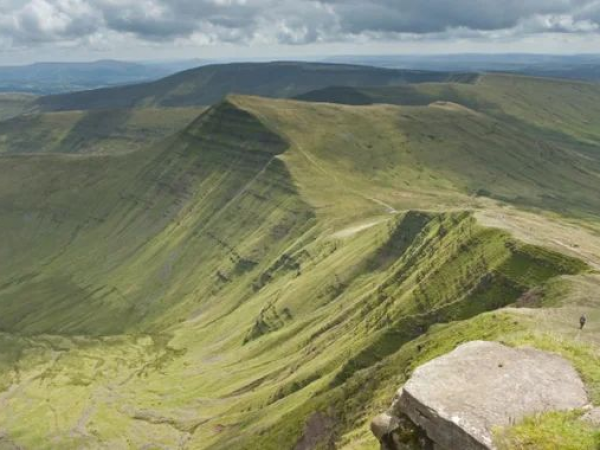 Volunteer Butterfly Surveyors - Training Workshop