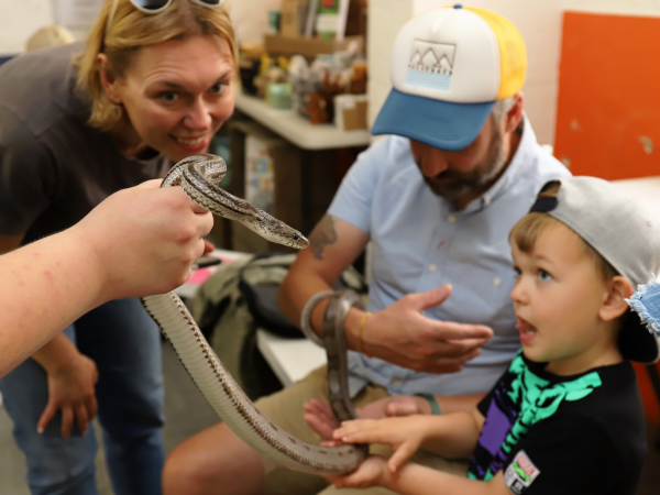 Zoolab encounters: Session one – Exotic animals
