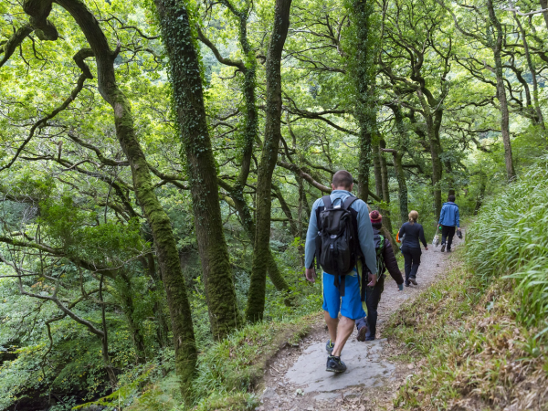 North Devon Walking Festival - Valleys and Views
