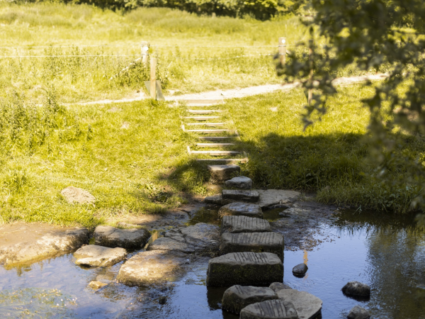 Guided walk at Wallington: River Walk