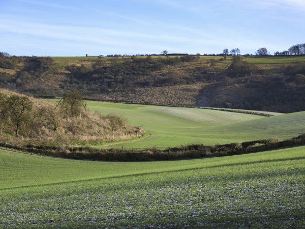 Big Camp August - Dunstable Downs and Whipsnade Estate