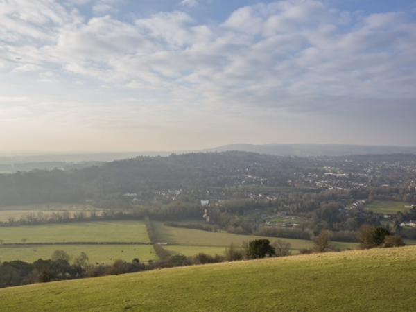 Box Hill Guided Hike