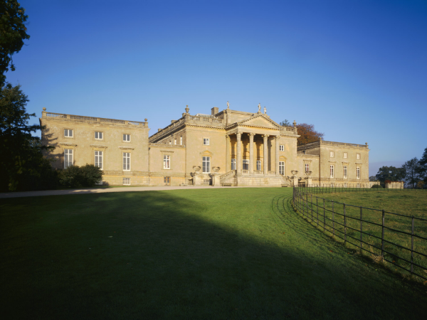 Drawn to Trees: Artist talk and book signing with Luke Adam Hawker