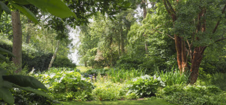 Tai Chi at Hidcote