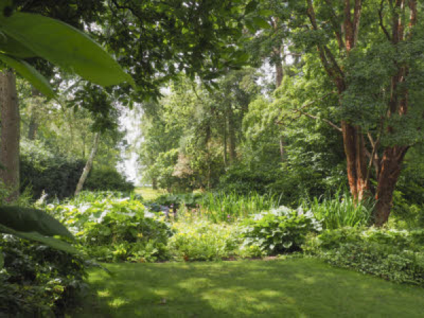 Tai Chi at Hidcote