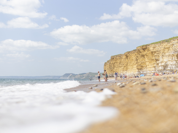 Barrows to Bunkers - a free guided walk through 4000 years of Hive Beach's history