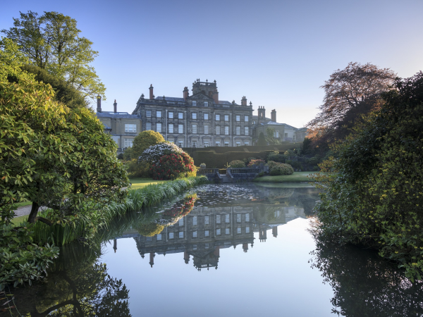 Spring botanical pen and watercolour workshop