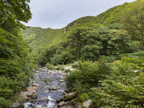 Dark Skies wildlife Walks (with night vision cameras) at Watersmeet