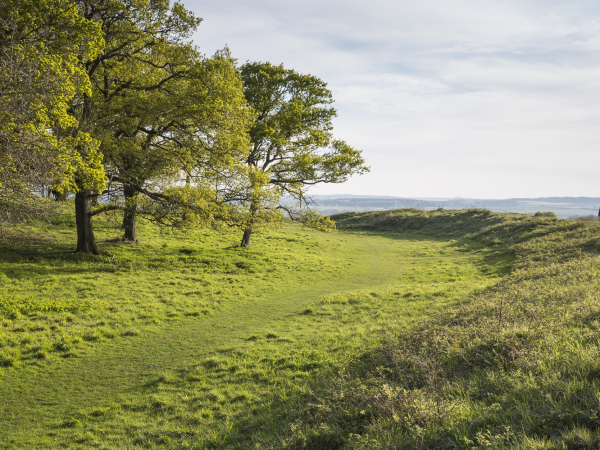 Estate Walk: Badbury Rings