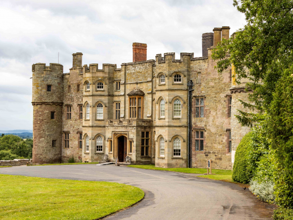 Craft session: Miniature garden making