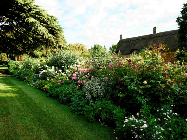 Morning Yoga and tour at Hidcote