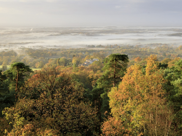 Autumn Photography Workshops - Leith Hill