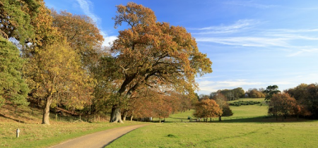 Buy Heritage Open Days - Sheringham Park Tumuli Walk Tickets online ...