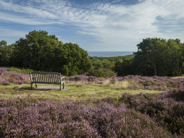 Earthwork archaeology tour of West Runton