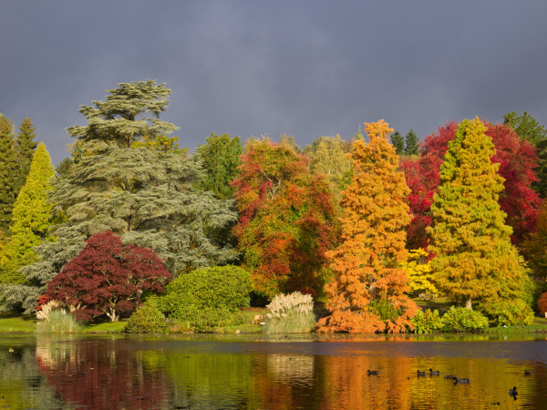 Autumn Colour Photography Workshop: Advanced