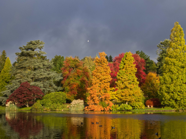 Autumnal Foraging Workshop with Megan Howlett