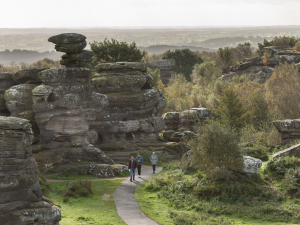 Christmas wreath making workshop - Brimham Rocks
