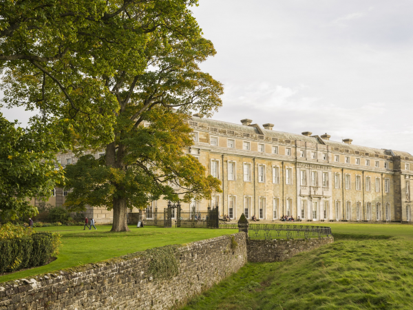 Ranger Ramble in Petworth Park