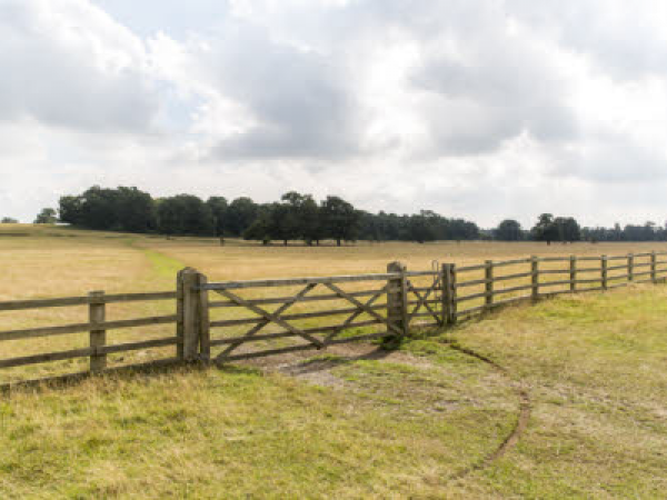 Guided Hike at Londonthorpe Woods