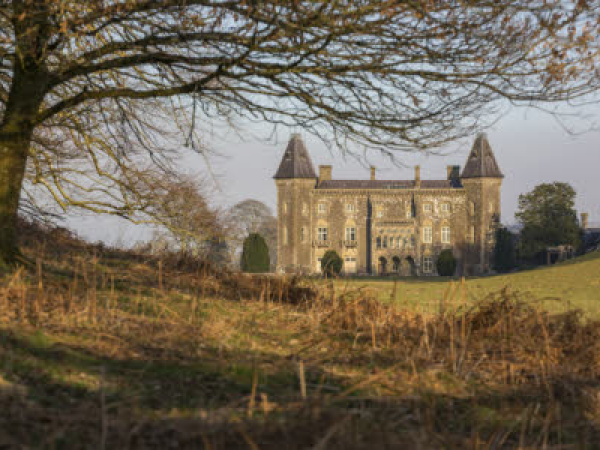Dawn Chorus | Taith Cytgan y Wawr