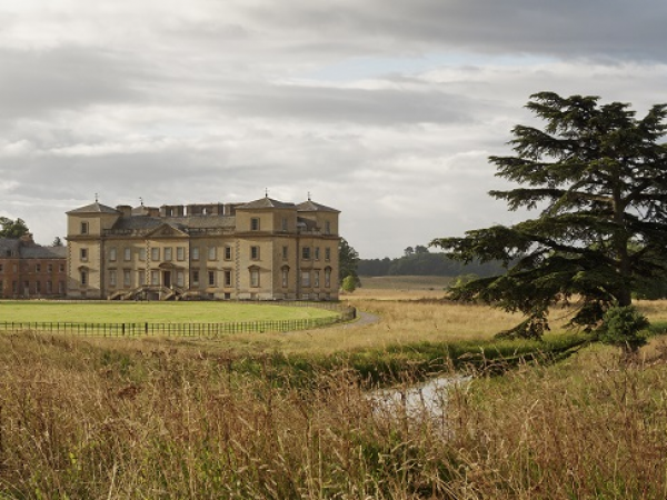 Bat Walk 2025 - Croome