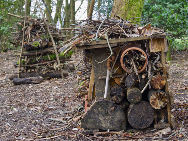 Get closer to nature: Make a bug hotel