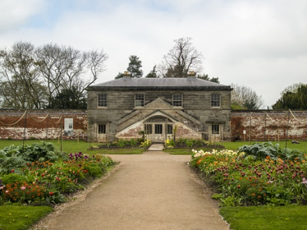 The Green Tapestry