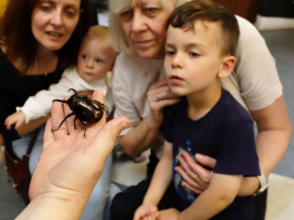 Zoolab encounters: Session two – Garden creatures