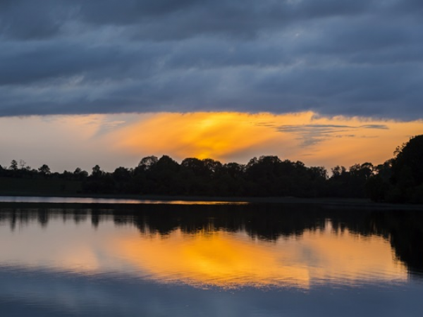 Nocturnal Nature at Crom