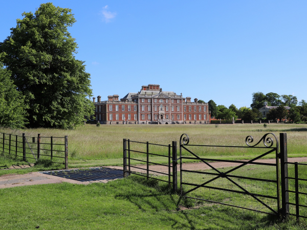 Spring Workshop - Watercolour Blossom