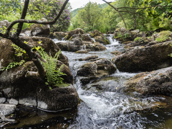 New Year's Day Guided Walk at Lorna Doone Valley