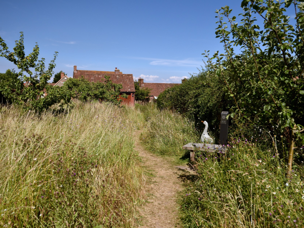 Nether Stowey Village Walk | Walks Programme
