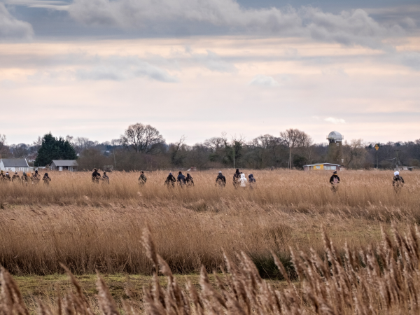 Breeding Waders Walk at Heigham Holmes