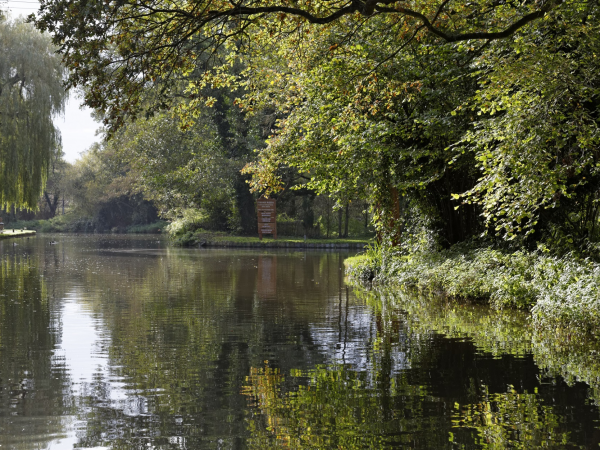 Around Shalford guided walk