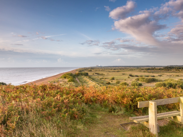 Bat Walk at Dunwich Heath