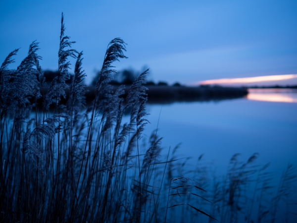 Sunset at Horsey Windpump