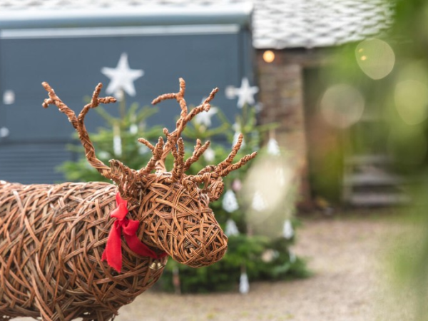 Willow Reindeer Workshop