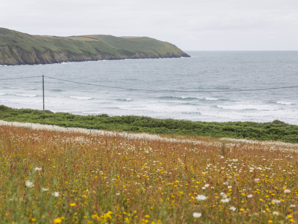 Art in the landscape workshop, Woolacombe