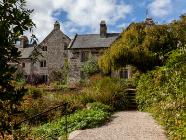 Wet Felting Workshop