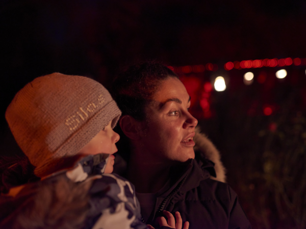 Nostell Fire Garden Nights