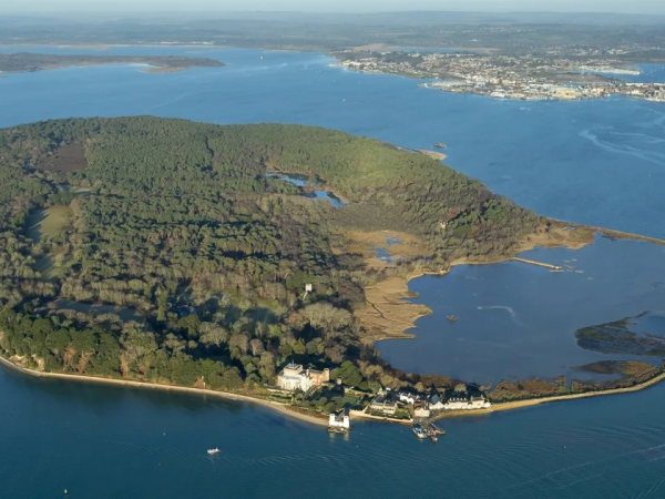 Exclusive red squirrel guided walk on Brownsea Island