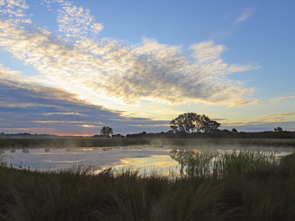 Dusk Chorus Walk at Wicken Fen