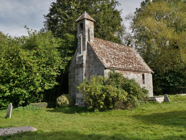 International Women's Day Wellbeing Walk