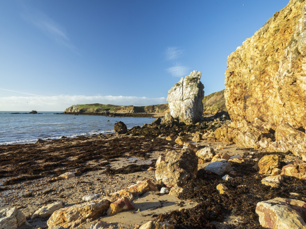 Teithiau tywys yng Nghemaes | Guided walks at Cemaes