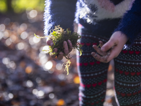 Make your own eco mini garden - Adult workshop