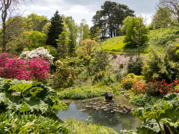 National Walking Month: Birdsong walk