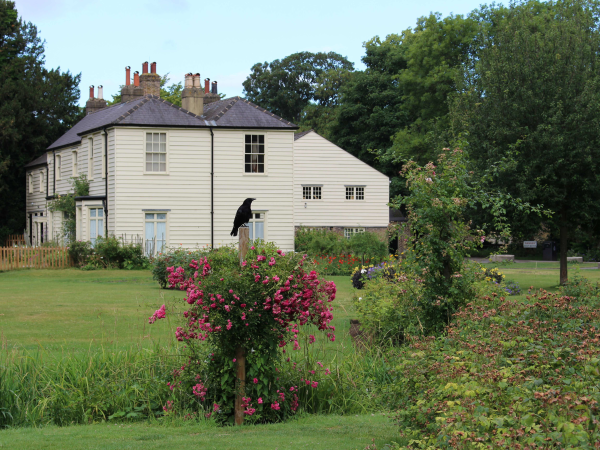 Grounding Workshop: Reconnect with Nature, Sun 28 June, 10am-12pm